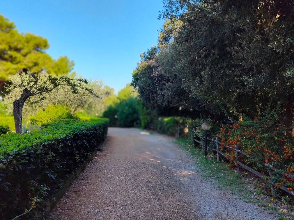 Appartamento a Orbetello in Strada Comunale di Ansedonia - Foto 3