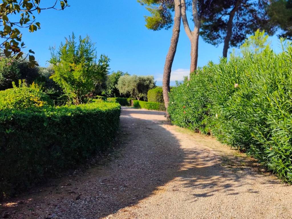 Appartamento a Orbetello in Strada Comunale di Ansedonia - Foto 5