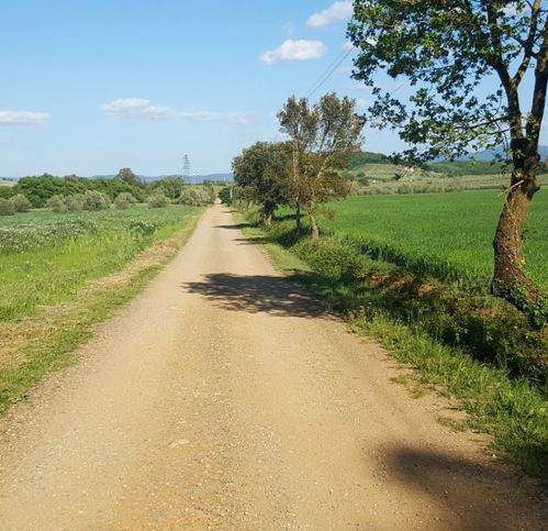Immobile a Gavorrano in Strada Senza Nome - Foto 4