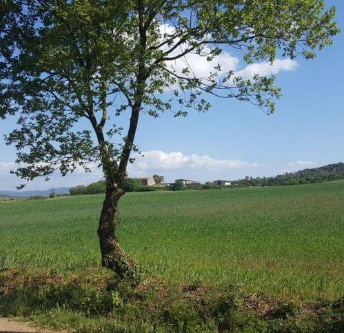 Immobile a Gavorrano in Strada Senza Nome - Foto 5