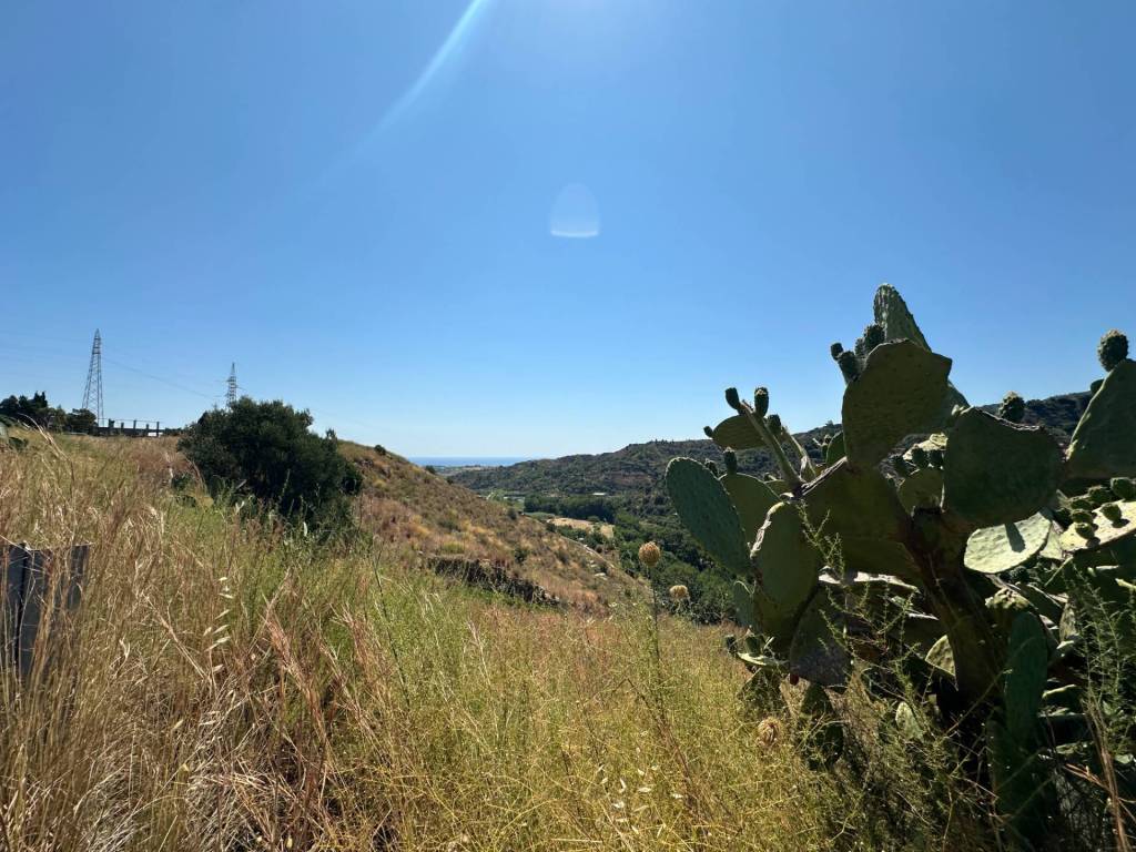 Terreno a Satriano in C.da Lagonia - Foto 3