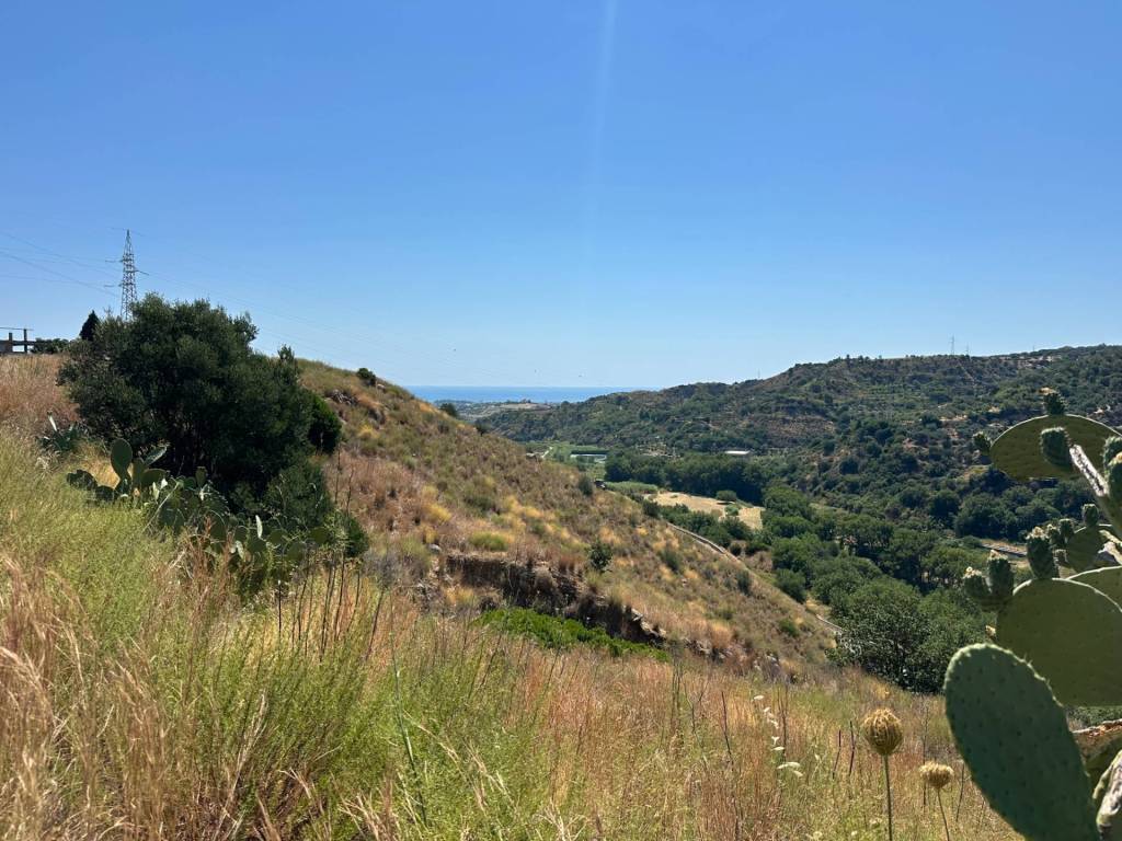 Terreno a Satriano in C.da Lagonia - Foto 4