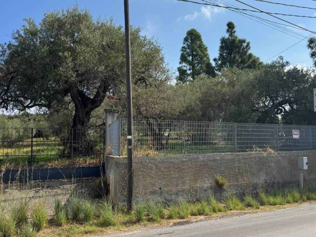 Terreno a San filippo del mela in Contrada Sorgenti, 13 - Foto 5