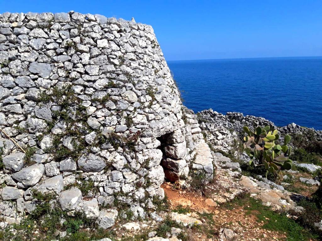 Rustico / casale a Gagliano del capo in SP358 - Foto 2