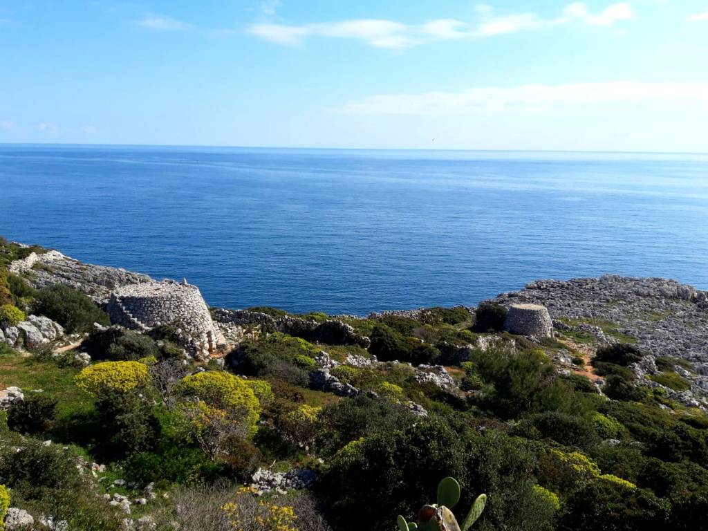 Rustico / casale a Gagliano del capo in SP358 - Foto 3