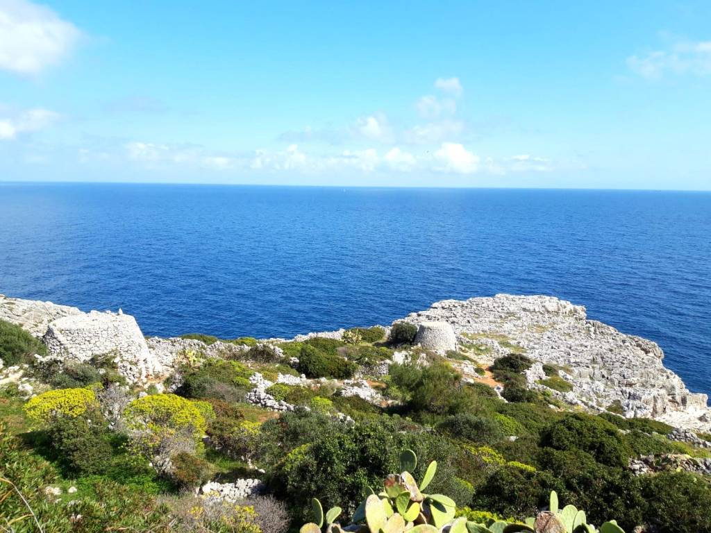 Rustico / casale a Gagliano del capo in SP358 - Foto 4