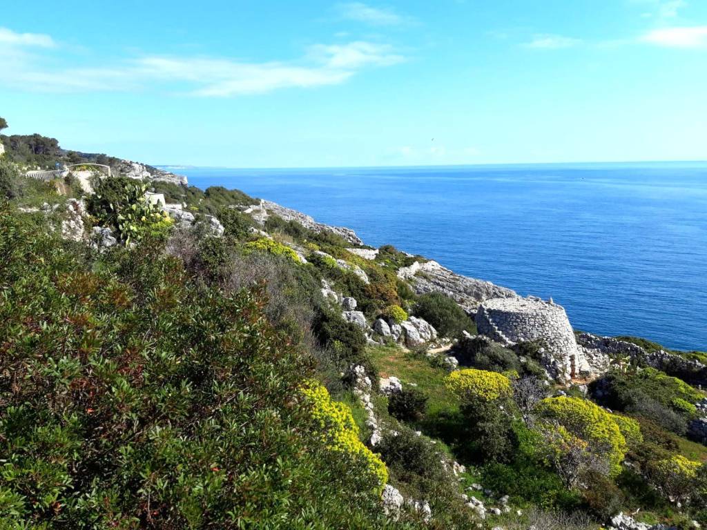 Rustico / casale a Gagliano del capo in SP358 - Foto 5