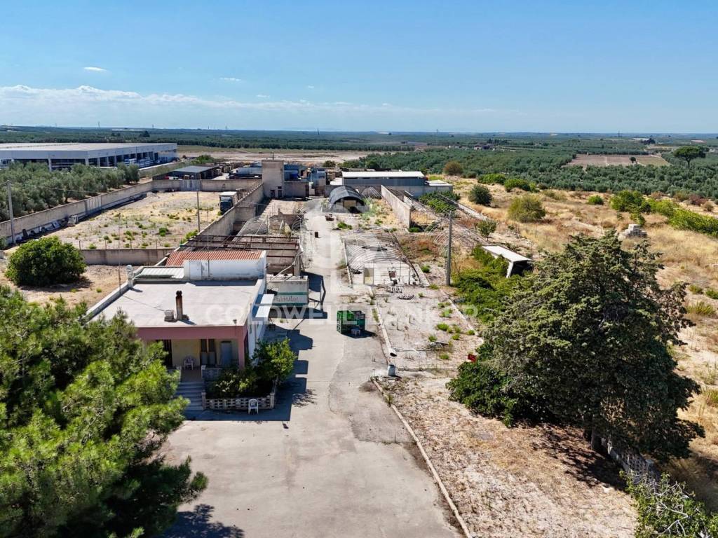 Terreno a Andria in Contrada Monachelle - Foto 3