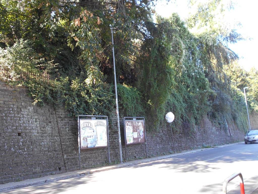 Terreno a Monte porzio catone in Via del Bosco, 11 - Foto 2