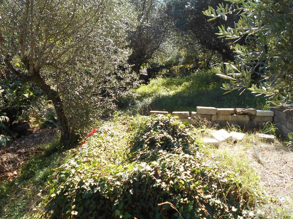 Terreno a Monte porzio catone in Via del Bosco, 11 - Foto 5