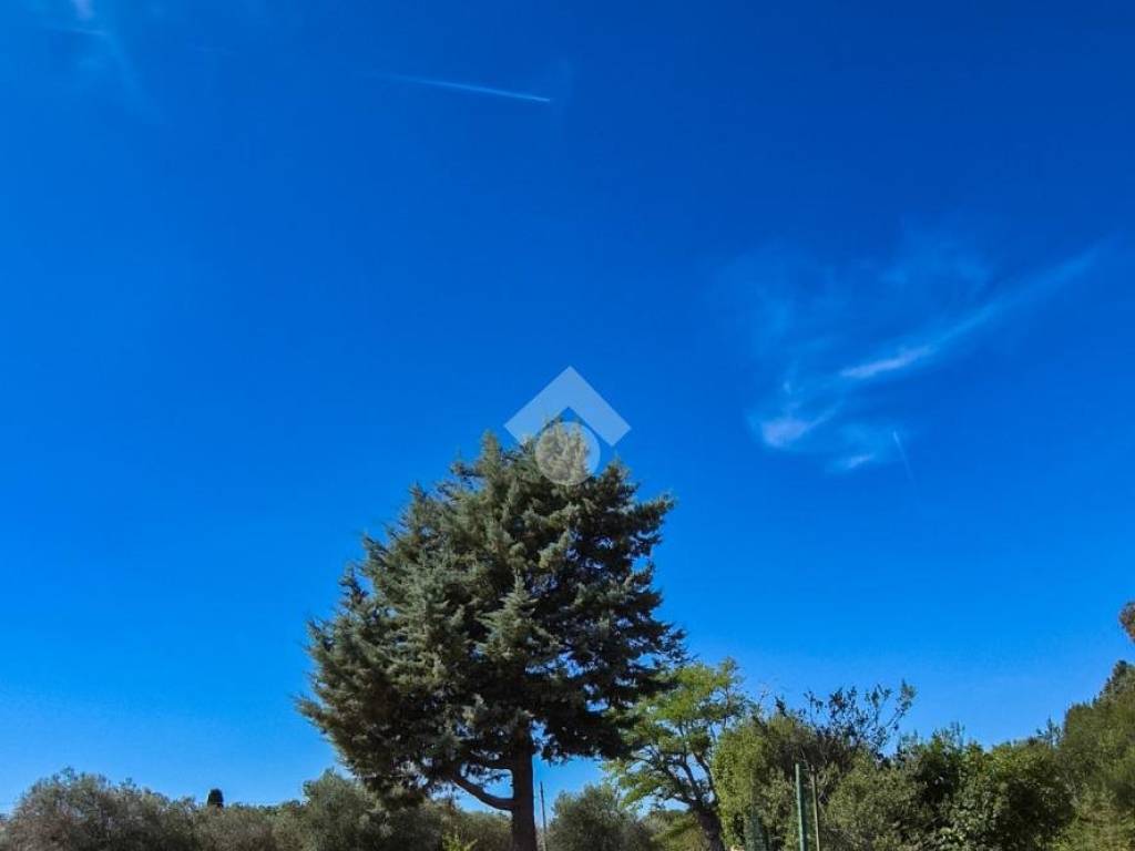 Rustico / casale a Carovigno in Contrada maresca - Foto 3