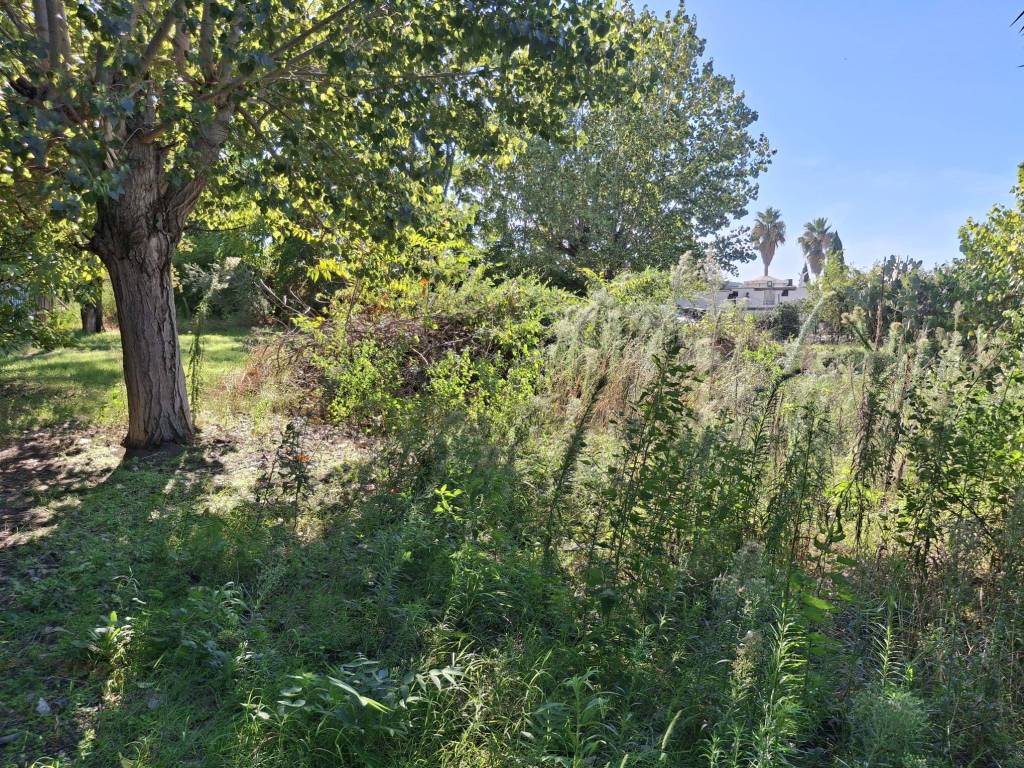 Terreno a Somma vesuviana in Via San Sossio - Foto 4