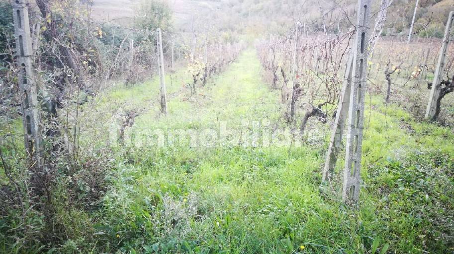 Terreno a Spinetoli in Via Ferretti - Foto 4