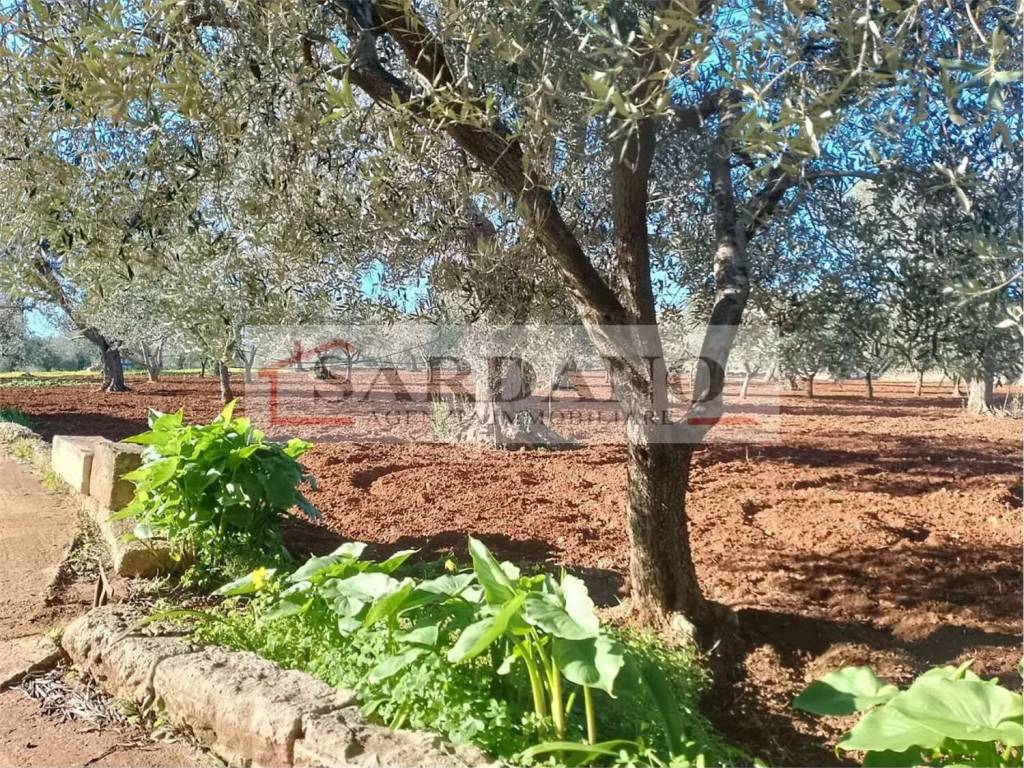 Rustico / casale a Brindisi in Strada Comunale 41 - Foto 4