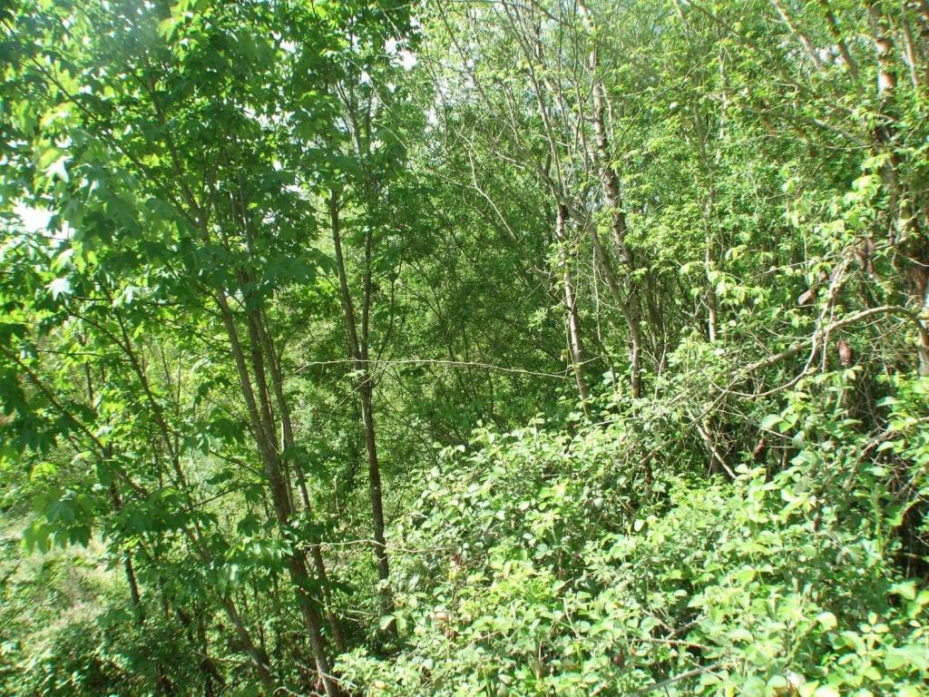 Terreno a Carsoli in Via Dei Marsi, 361 - Foto 2