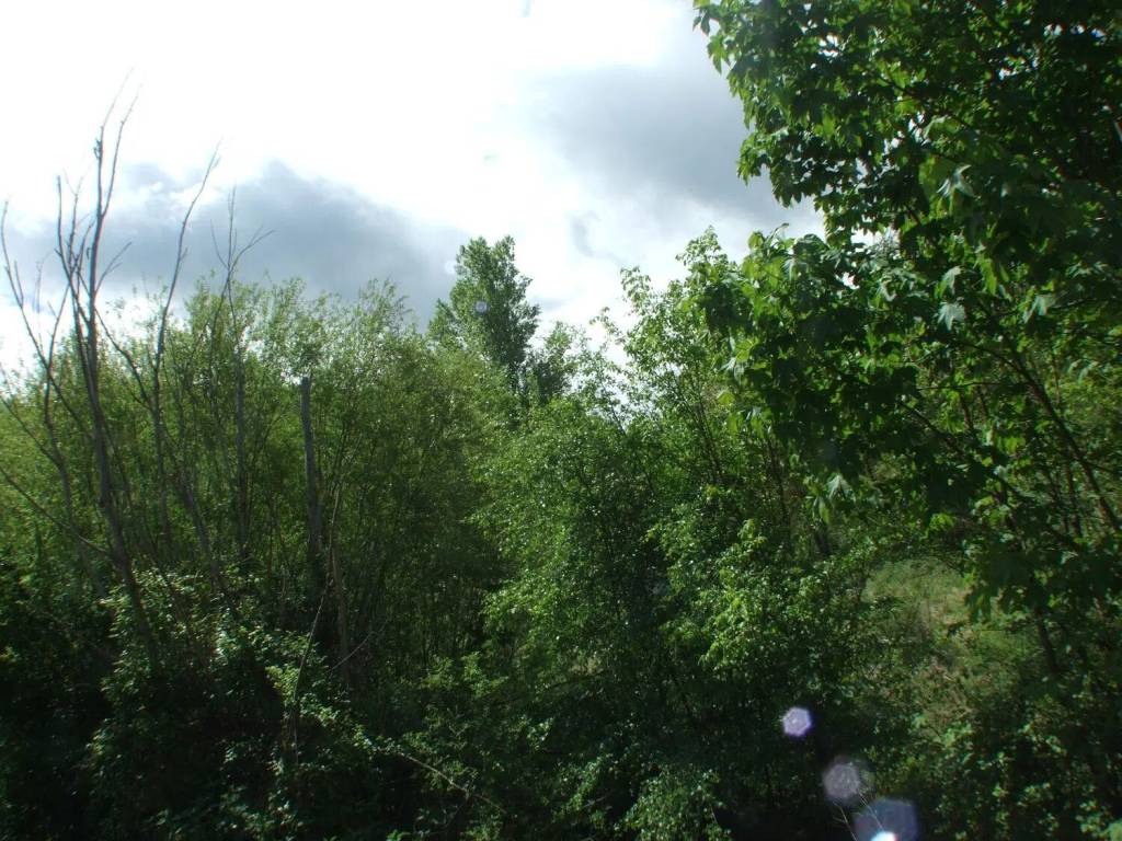Terreno a Carsoli in Via Dei Marsi, 361 - Foto 3