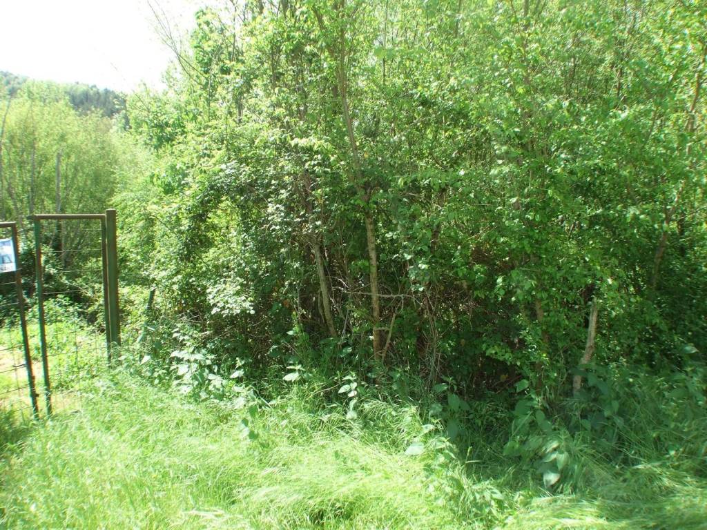 Terreno a Carsoli in Via Dei Marsi, 361 - Foto 4