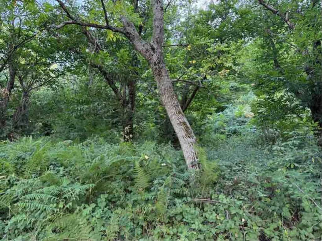 Rustico / casale a Montella in Contrada Sottomonticchio, 9 - Foto 3