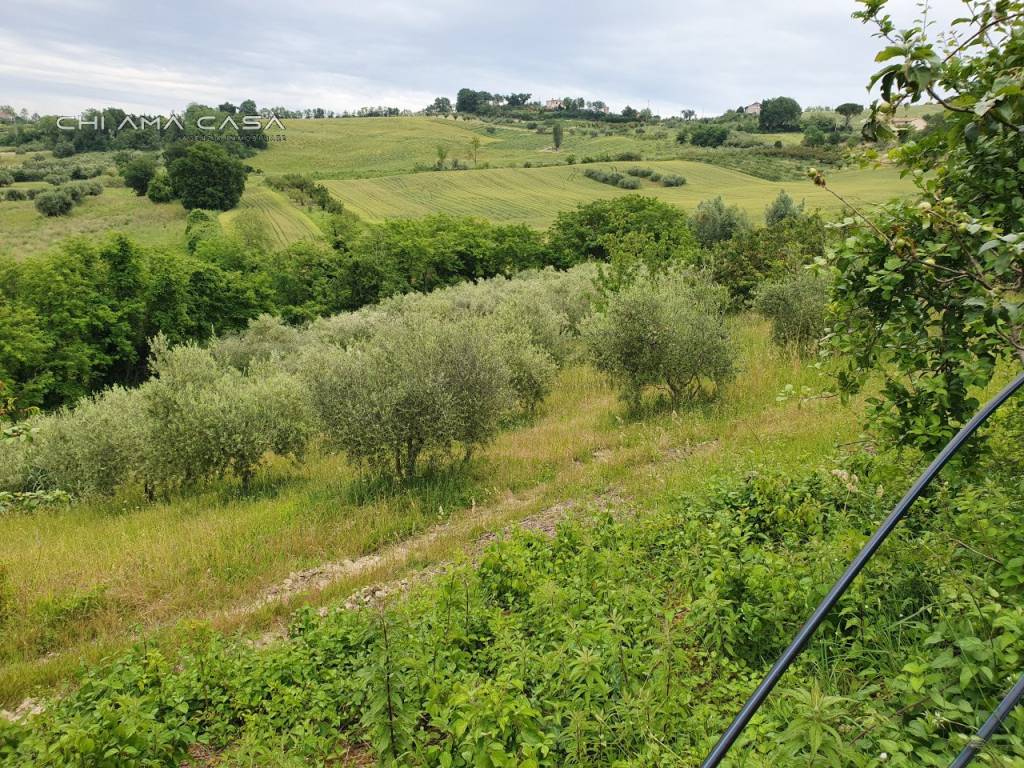 Terreno a Vallefoglia in Via Serra - Foto 2