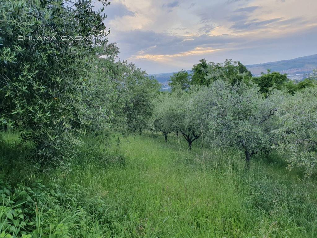 Terreno a Vallefoglia in Via Serra - Foto 4