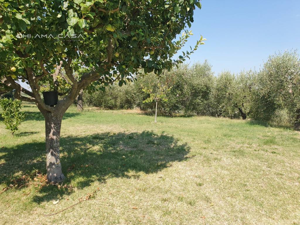 Casa indipendente a Vallefoglia in Via Pontevecchio - Foto 5