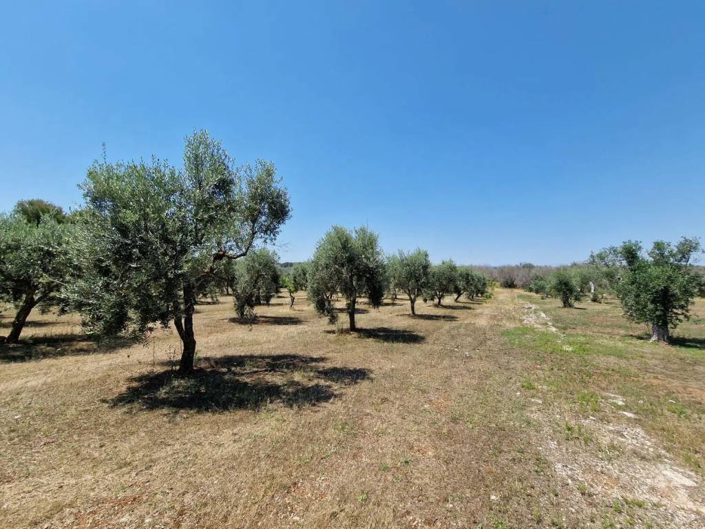 Terreno a Melpignano in 47Gf+85 No Number - Foto 4