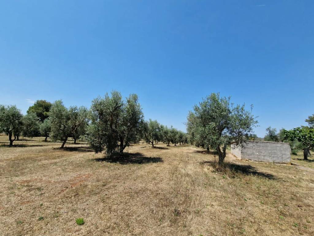 Terreno a Melpignano in 47Gf+85 No Number - Foto 5