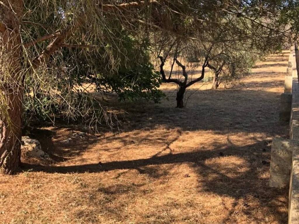 Terreno a Morciano di leuca in Via Chiavarello No Number - Foto 5