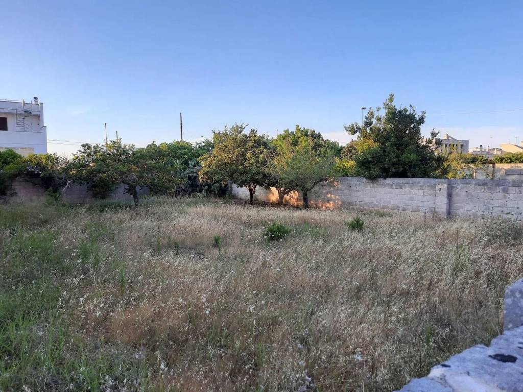 Terreno a Palmariggi in Via Duca D'Aosta No Number - Foto 3