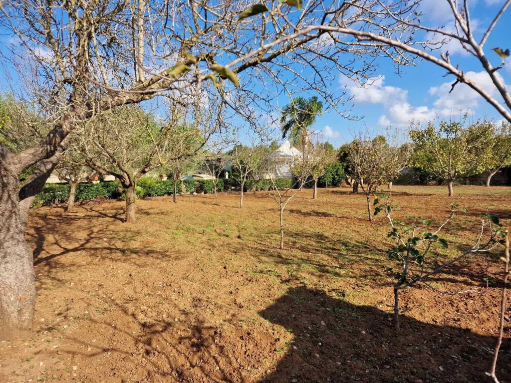 Terreno a Scorrano in Via Gallipoli No Number - Foto 4