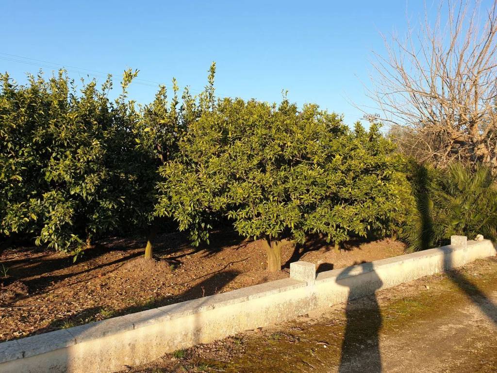 Villa a Maglie in Strada 47Jh+C4 No Number - Foto 2
