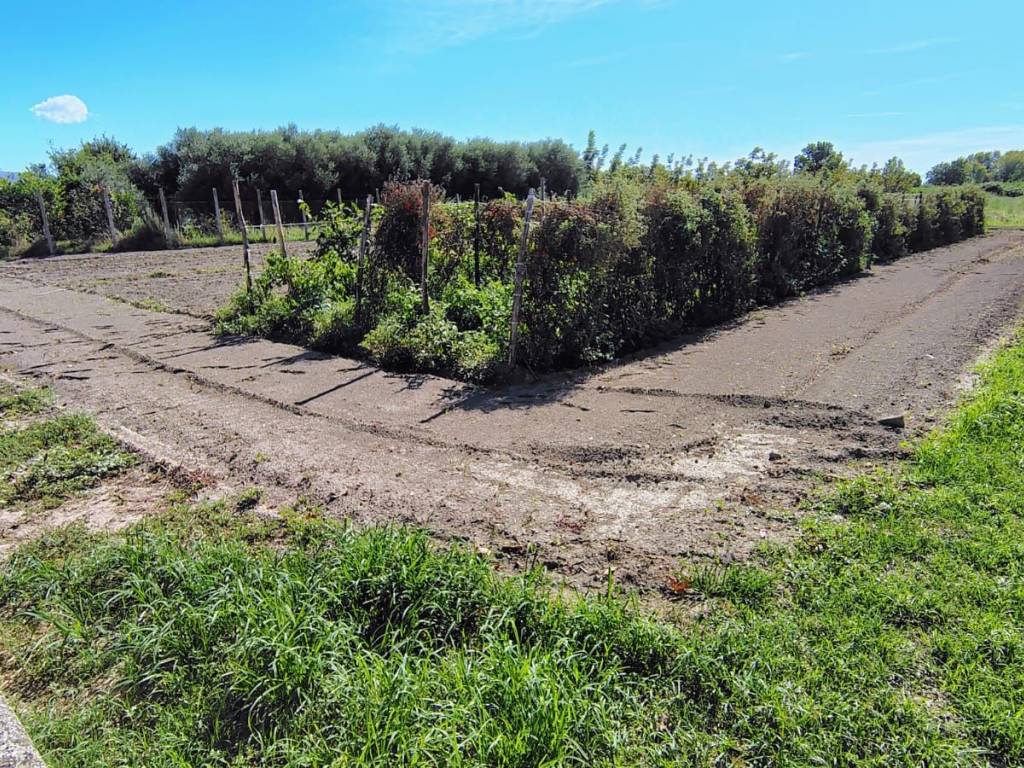 Terreno a Acerra in Via Pietrabianca - Foto 2