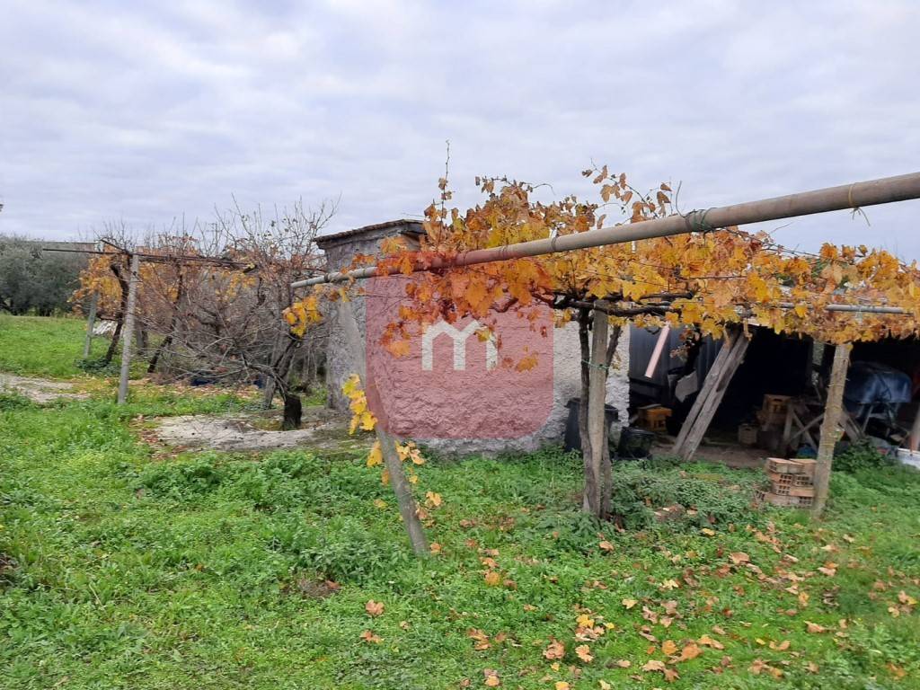 Immobile a Roma in Via del Casale di Sant'Isidoro - Foto 2
