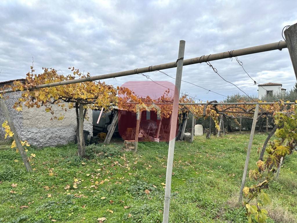 Immobile a Roma in Via del Casale di Sant'Isidoro - Foto 3