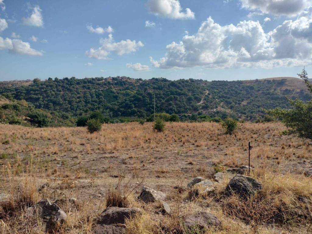 Terreno a Carlentini in C/DA Cirico - Foto 2