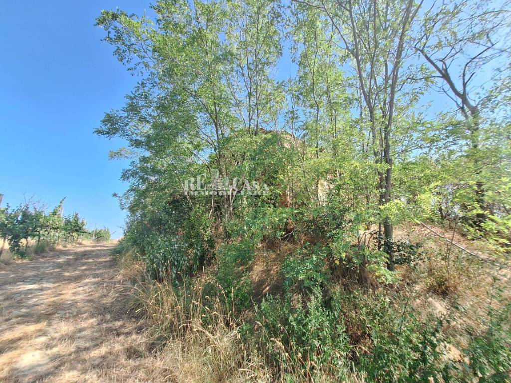 Rustico / casale a Monteprandone in contrada collenavicchio - Foto 5