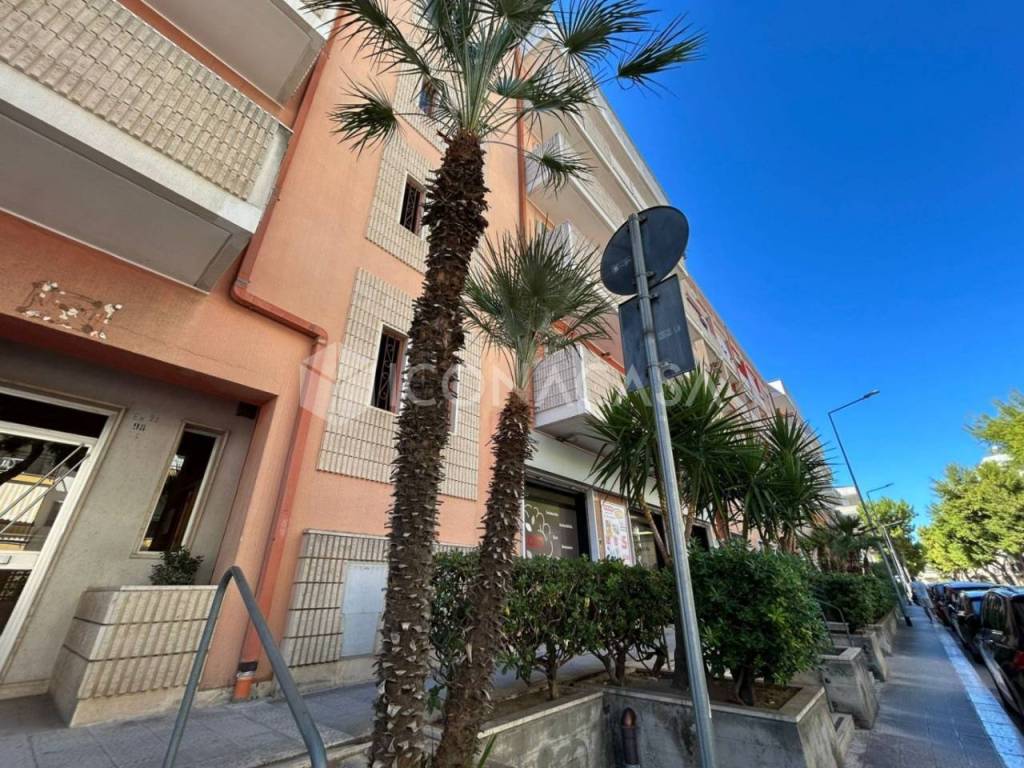 Immobile a Bisceglie in Via Sacerdote Giovanni di Leo - Foto 2