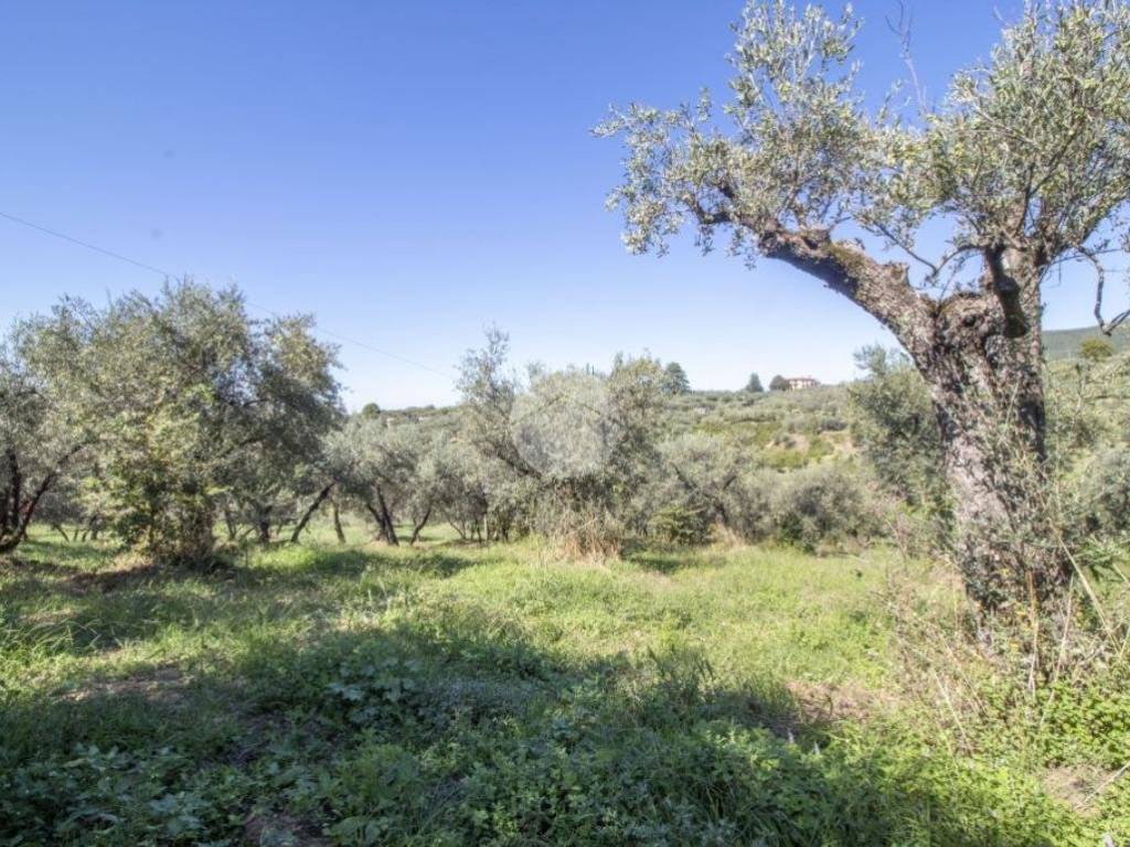 Rustico / casale a Palombara sabina in STRADA DI ROTAVELLO - Foto 2