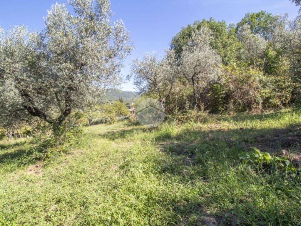 Rustico / casale a Palombara sabina in STRADA DI ROTAVELLO - Foto 3