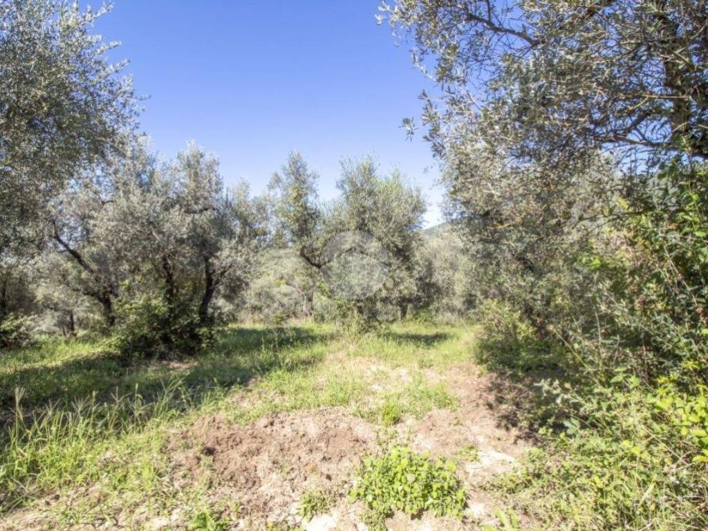 Rustico / casale a Palombara sabina in STRADA DI ROTAVELLO - Foto 4