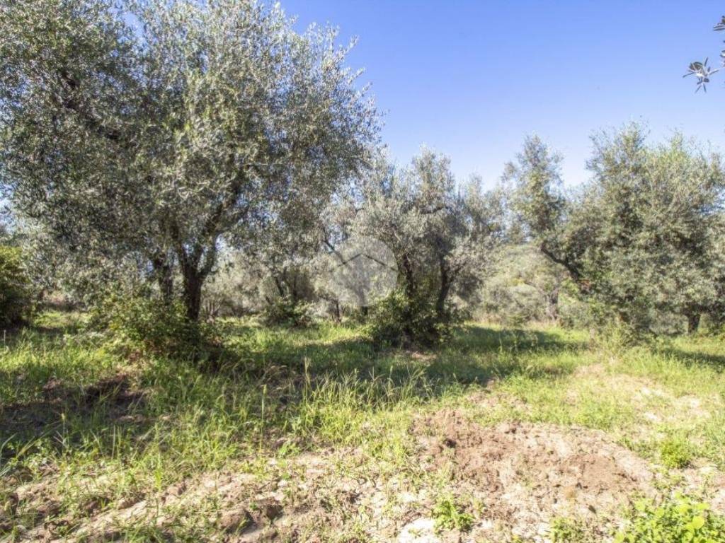 Rustico / casale a Palombara sabina in STRADA DI ROTAVELLO - Foto 5
