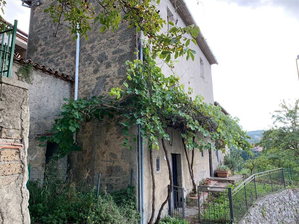 Casa indipendente a Arcidosso in grappolini - Foto 2