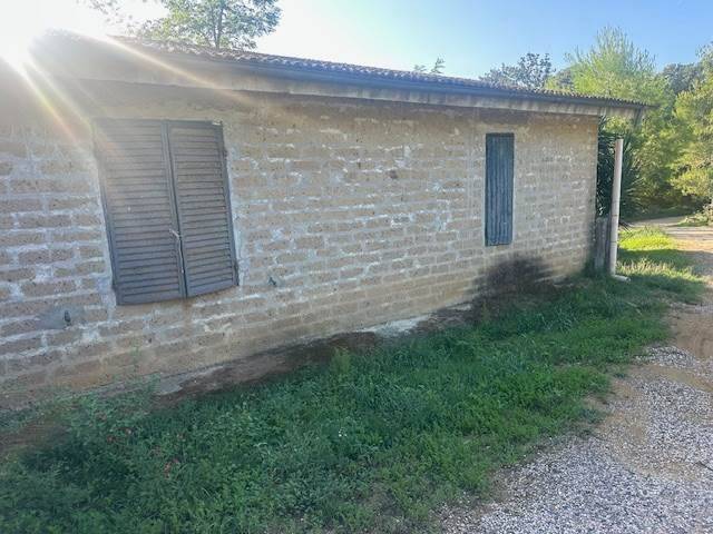 Rustico / casale a Magliano in toscana - Foto 2