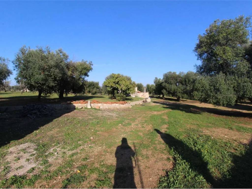 Rustico / casale a Carovigno in Strada Provinciale 37 - Foto 4