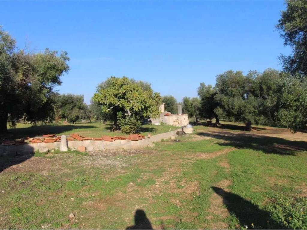 Rustico / casale a Carovigno in Strada Provinciale 37 - Foto 5