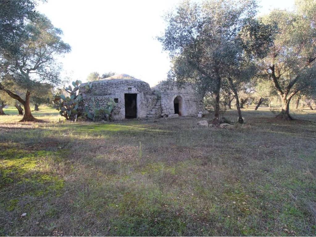 Rustico / casale a Carovigno in Strada Provinciale 37 - Foto 2