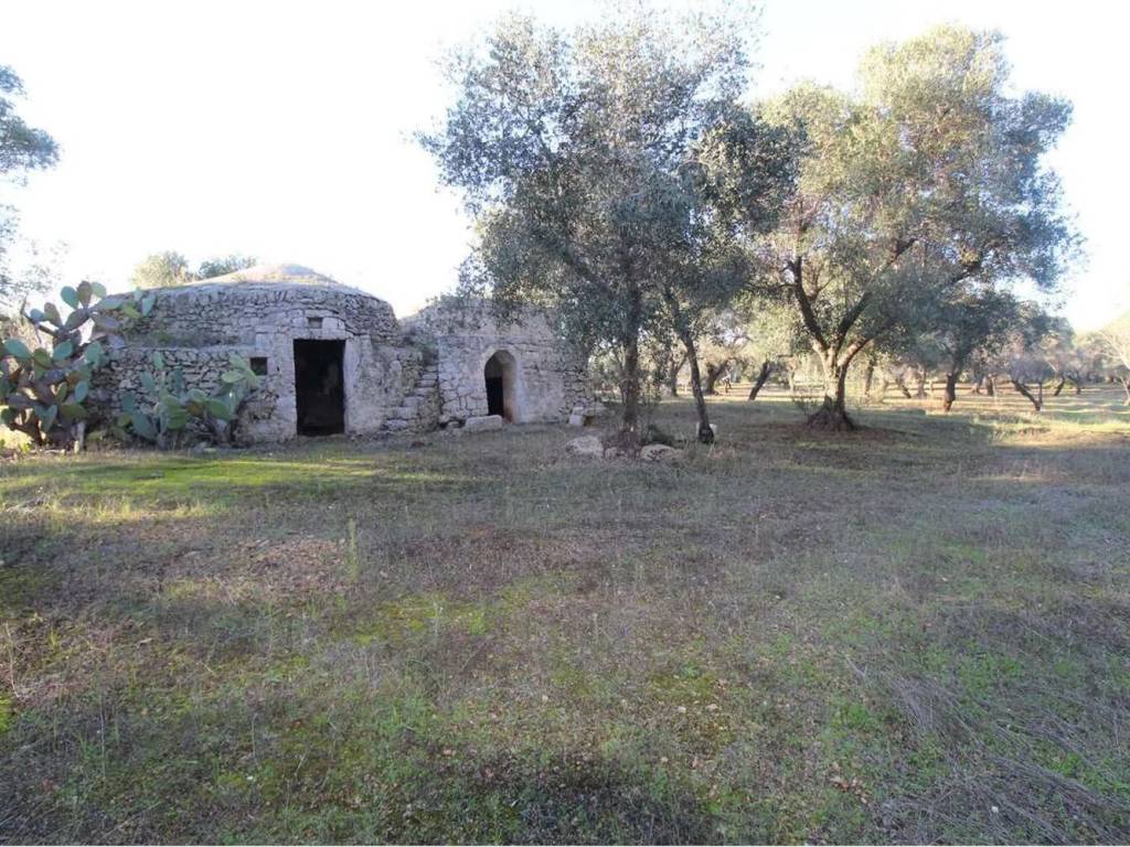 Rustico / casale a Carovigno in Strada Provinciale 37 - Foto 3