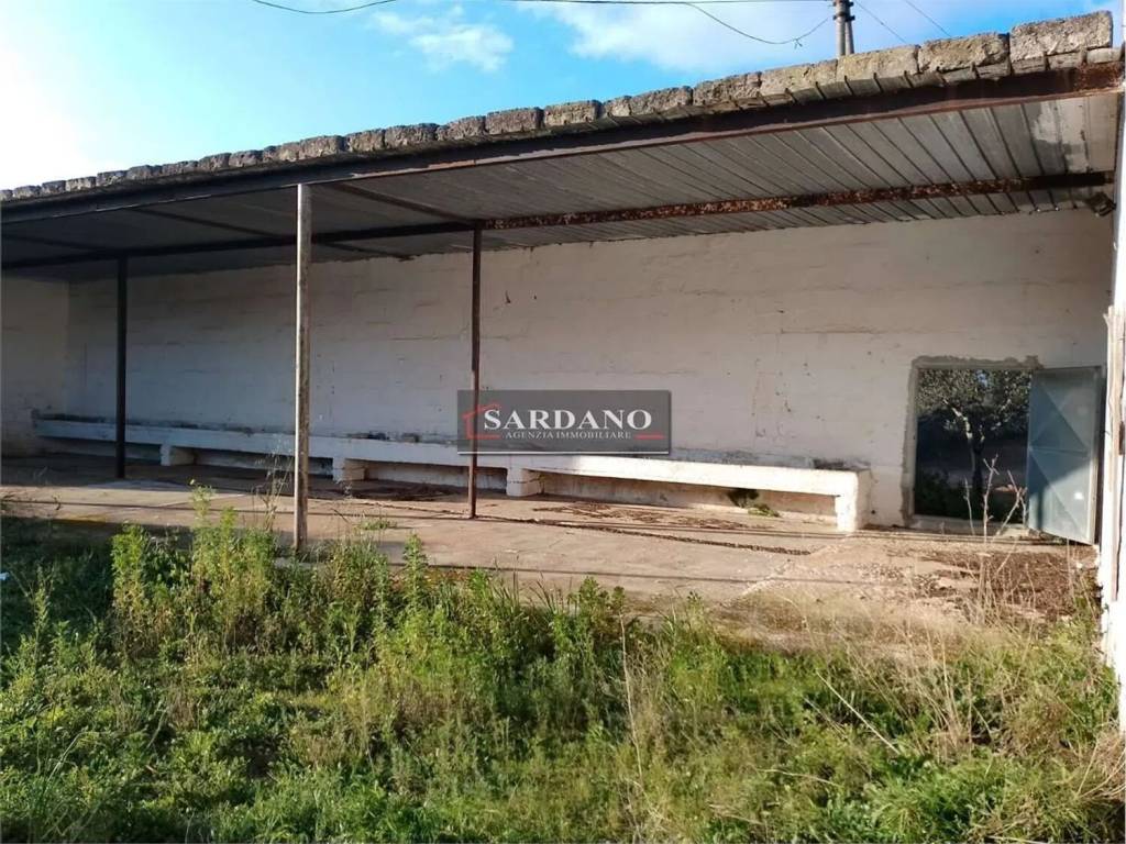 Rustico / casale a Carovigno in Strada Provinciale 37 - Foto 3