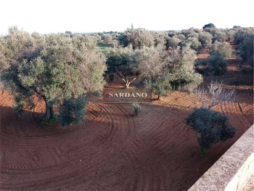 Rustico / casale a Carovigno in Strada Provinciale 37 - Foto 5