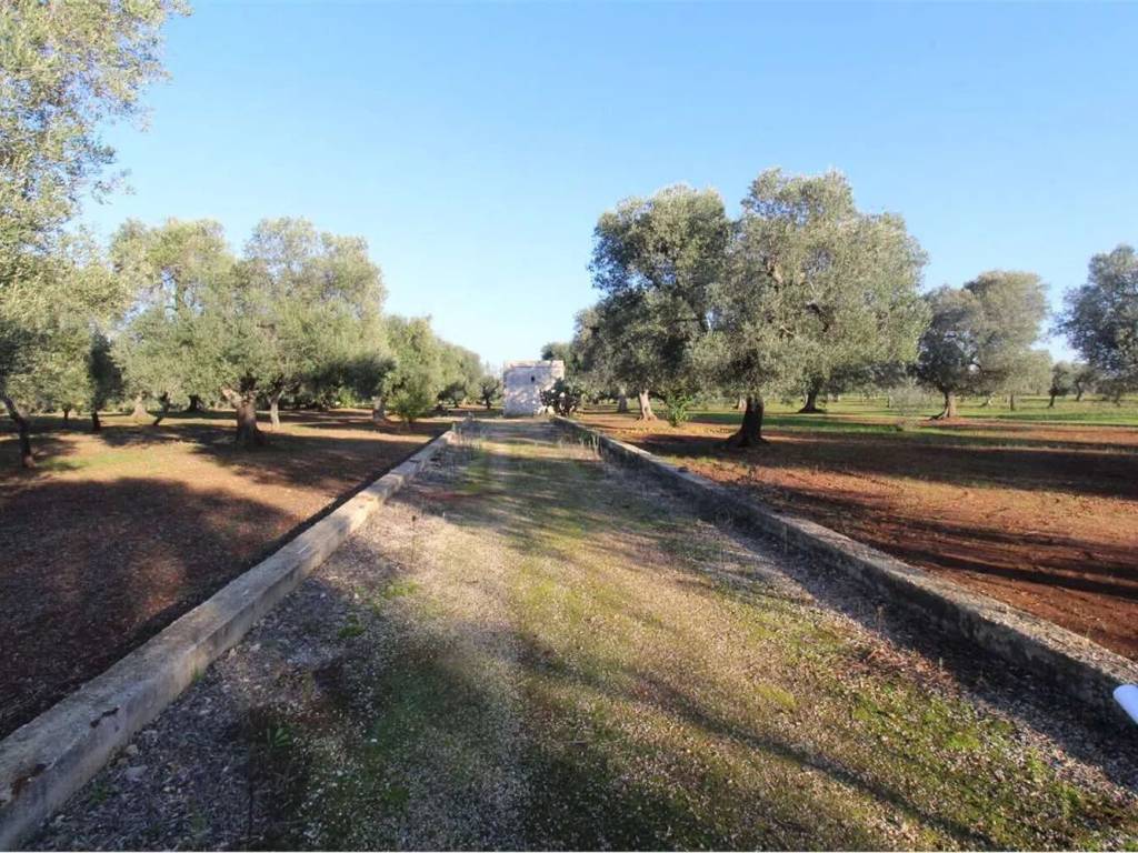 Rustico / casale a Carovigno - Foto 2